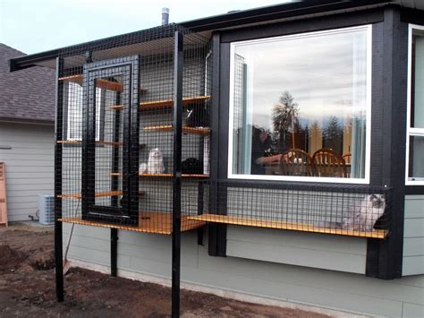 metal cat enclosure|outdoor cat enclosures for apartments.